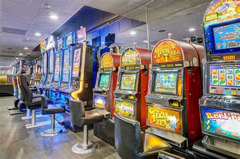 siegel slots suites sports betting